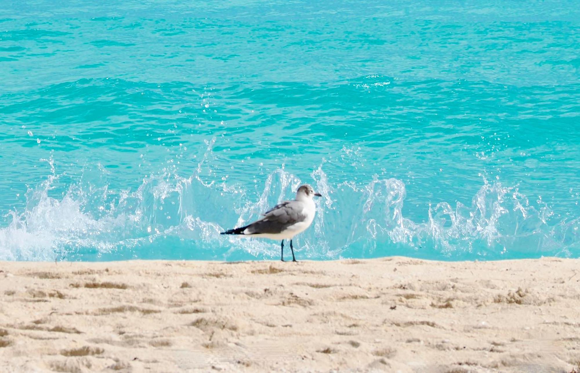 Solymar Condos On The Beach Cancun Exterior photo